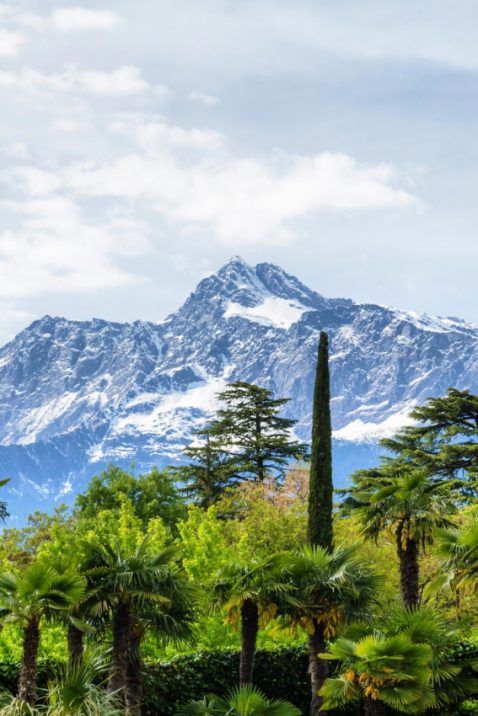 Berge-Wald Tropenwald & Berge