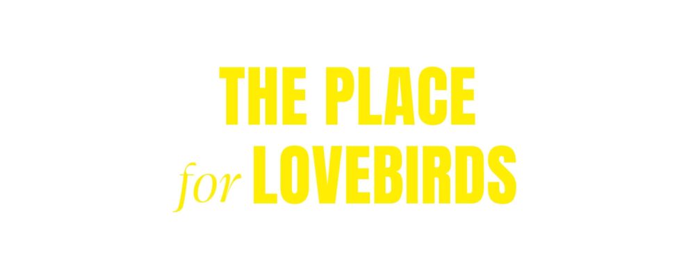 spruch-valentinstag spruch-valentinstag